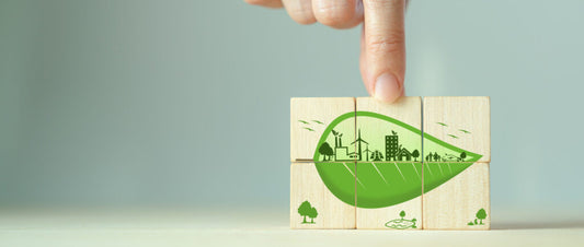 Master in Green Economy & Sustainability Management